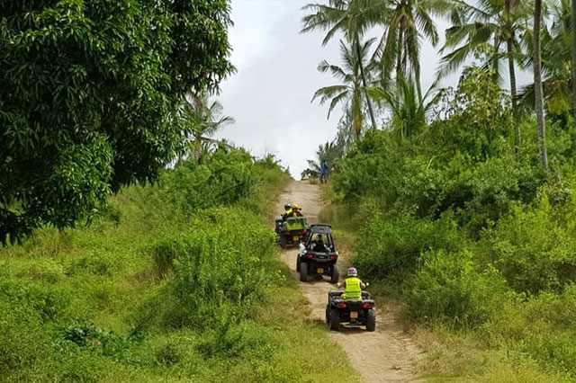 Buggy tour through forest tracks in the Diani hinterlands